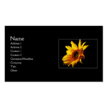 Searching for Light Business Cards