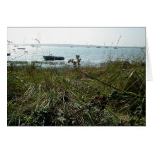 Seascape Cards