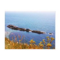 Seascape - Jurassic coast