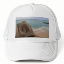 Seashell Beach Paradise