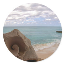 Seashell Beach Paradise