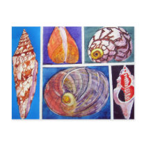 Seashell collage post card