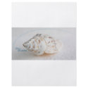 Seashell day dreams flyers