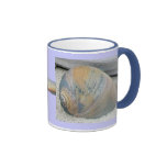 Seashell in Sunset Colours Mug