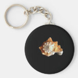 Seashell Key Chain