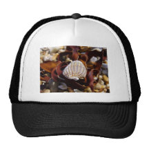 Seashell Mesh Hats