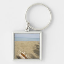 Seashell on sandy beach keychains