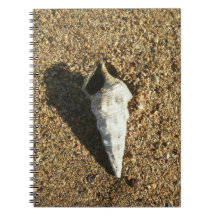 Seashell on the Beach Note Book
