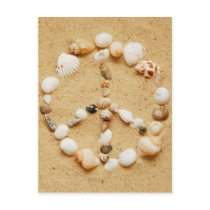 Seashell Peace Sign Postcard