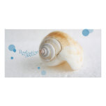 Seashell Perfection photo cards