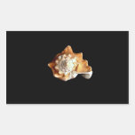Seashell Rectangular Stickers