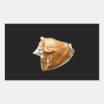 Seashell Rectangular Stickers
