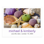 Seashell | Save the Date Postcards
