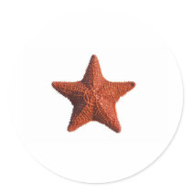 Seashell Round Stickers
