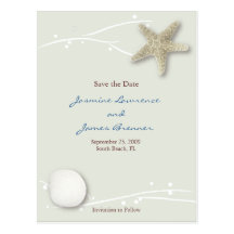 Seashell with Branches Postcards