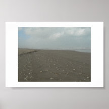 Seashells along the beach. poster