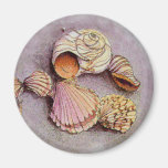 SEASHELLS by SHARON SHARPE Fridge Magnets