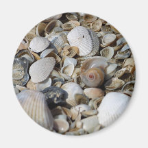 Seashells Fridge Magnets