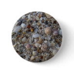 Seashells in Thailand buttons