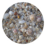 Seashells in Thailand stickers
