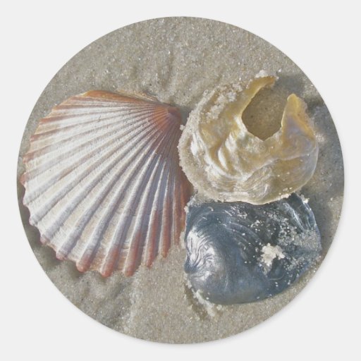 Seashells on the Beach Coordinating Items Sticker