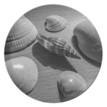 Seashells Party Plate