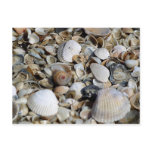 SeaShells postcard