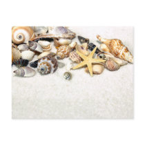 Seashells Postcard