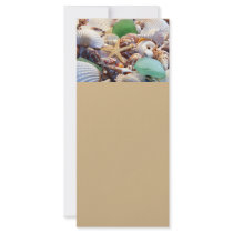 Seashells, Starfish & Sea Glass Rack Cards