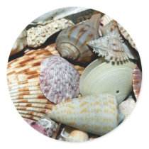 seashells round sticker