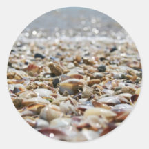 SeaShells Sticker