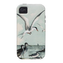 Seashore Birds At The Beach iPhone 4/4S Covers