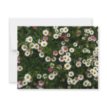 Seaside Daisies Custom Invite
