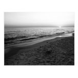 Seaside Florida sunset black & white postcard