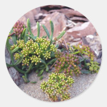 Seaside Flower Sticker