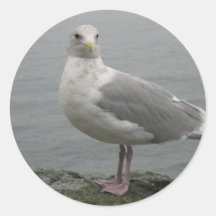 Seaside Seagull Stickers
