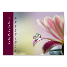 Season´s Greetings card