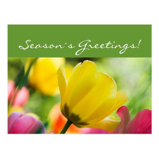 Season´s greetings postcard
