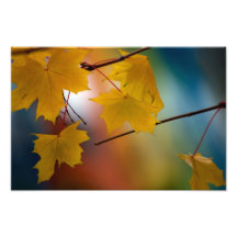 Seasons Change. Photo Print
