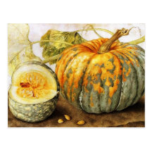 SEASON'S FRUITS / PUMPKINS POSTCARD