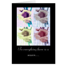 Seasons Greeting Cards