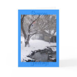 SEASONS GREETINGS - American Flag, Winter Scene cards