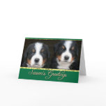 Season's greetings Bernese mountain dogs card