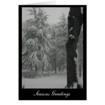 Seasons Greetings Card