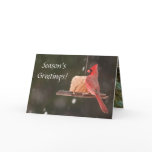 Season's Greetings! Christmas Cards