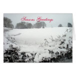Seasons Greetings Greeting Cards