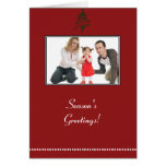Season's Greetings Greeting Cards