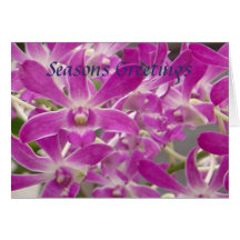 Seasons Greetings Orchids Greeting Cards