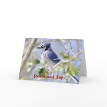 Seasons Greetings, Peace and Joy Card
