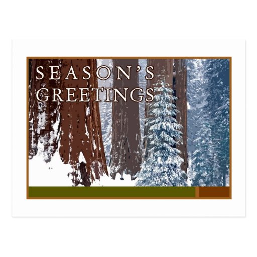 Season's Greetings Post Cards